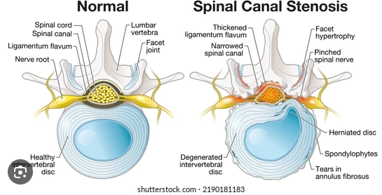 screenshot 2025 12 09 130226